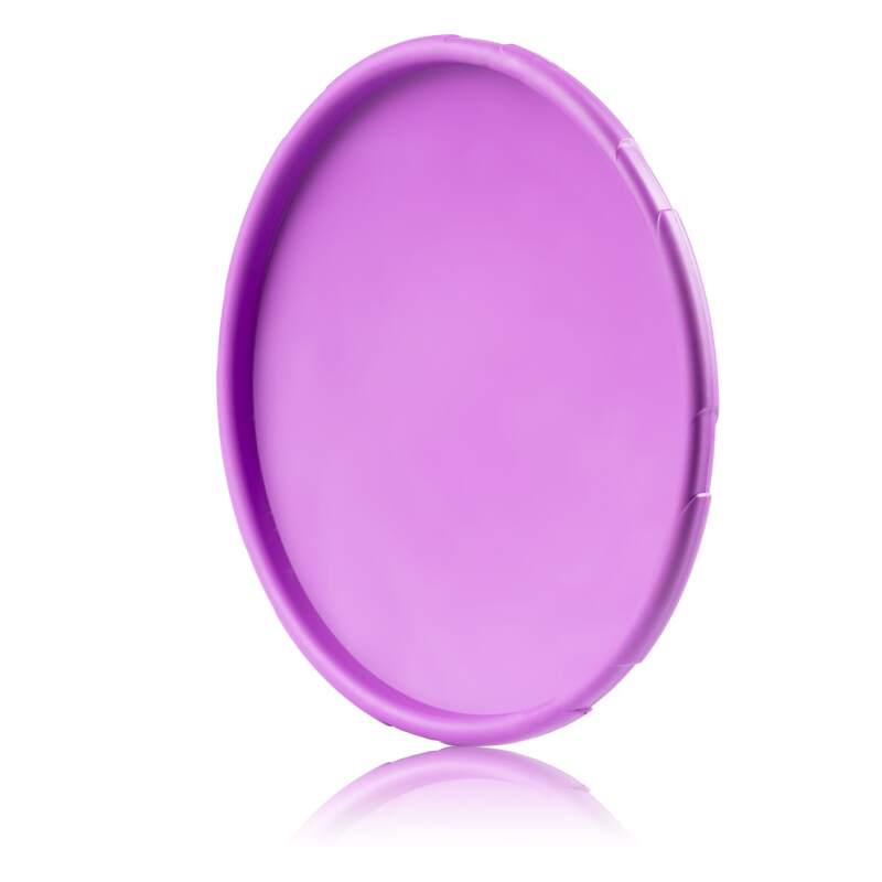 Rubber Dog Frisbee for Fetch and Play - Image 2