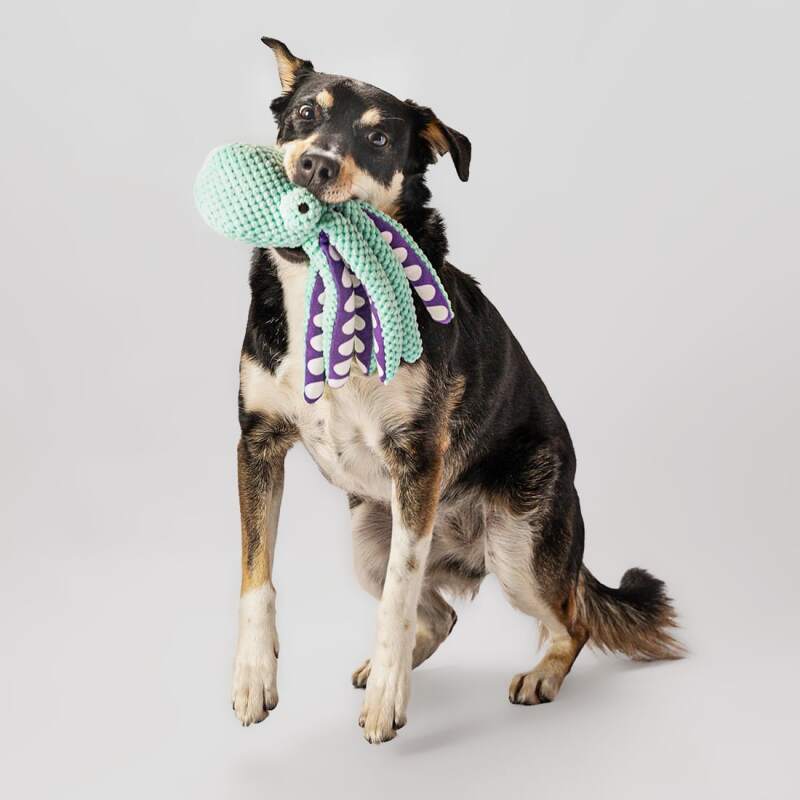 RAGI Plush Octopus Squeaky Dog Toy - Image 3