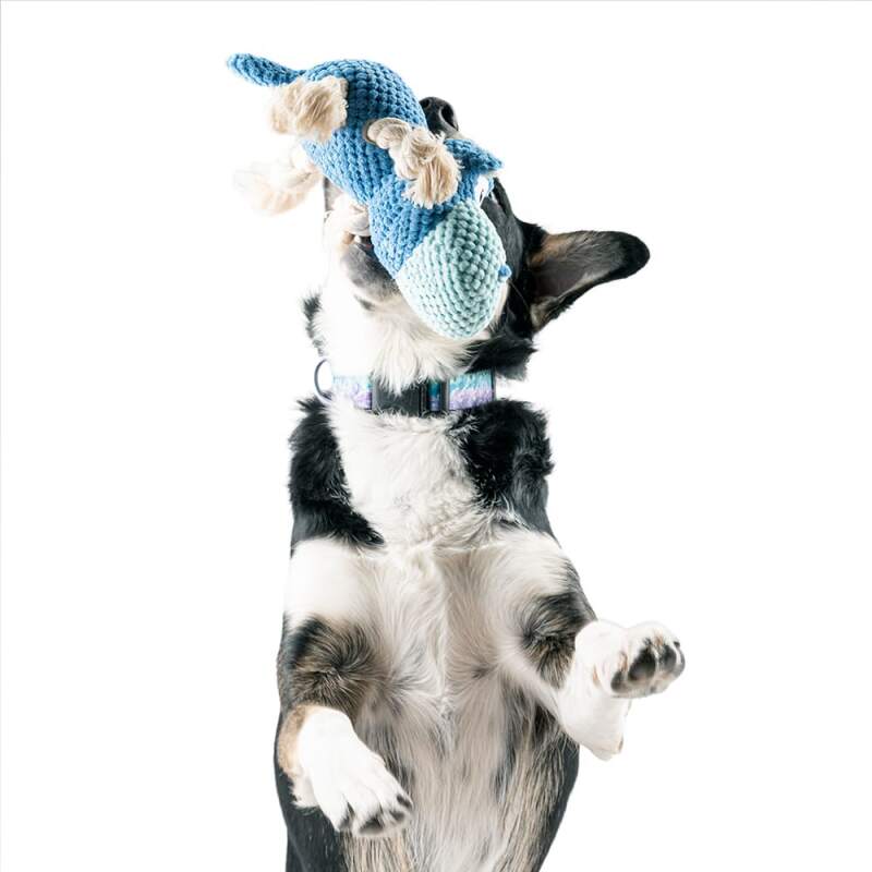 Blue Hippo Squeaky Plush Dog Toy - Image 5
