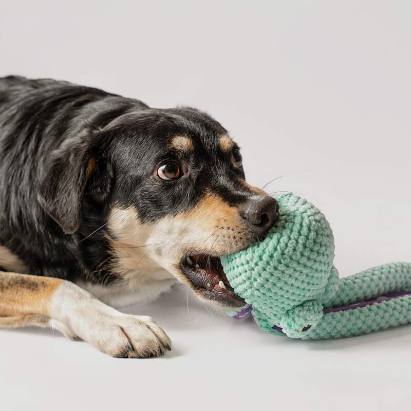 RAGI Plush Octopus Squeaky Dog Toy - Image 4