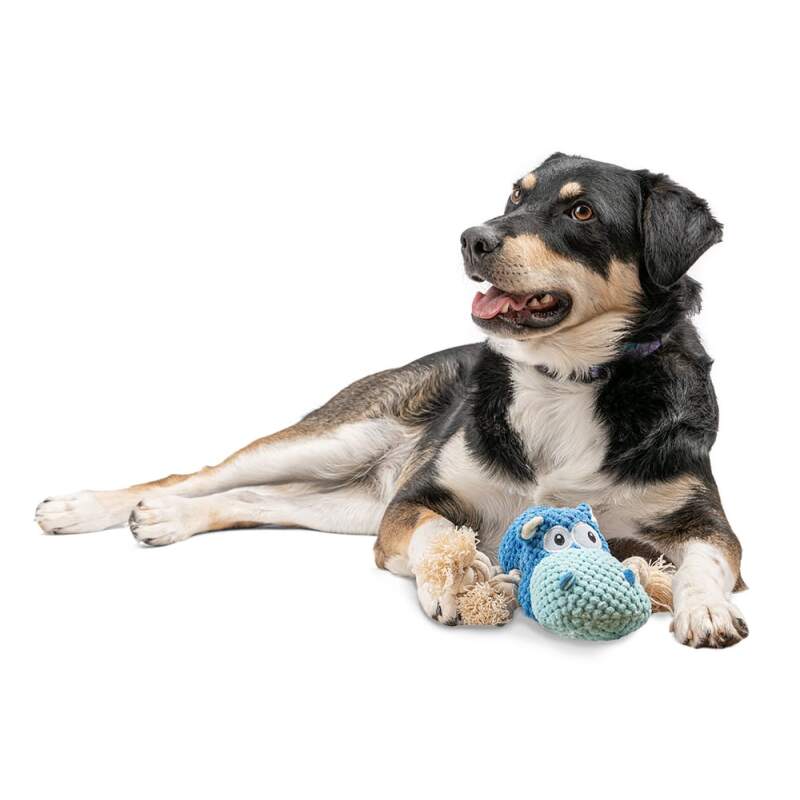 Blue Hippo Squeaky Plush Dog Toy - Image 4
