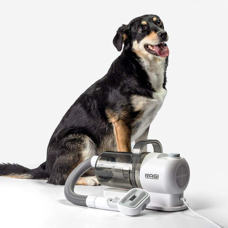 Dog Grooming Vacuum Kit with Clipper and Brushes - Image 7