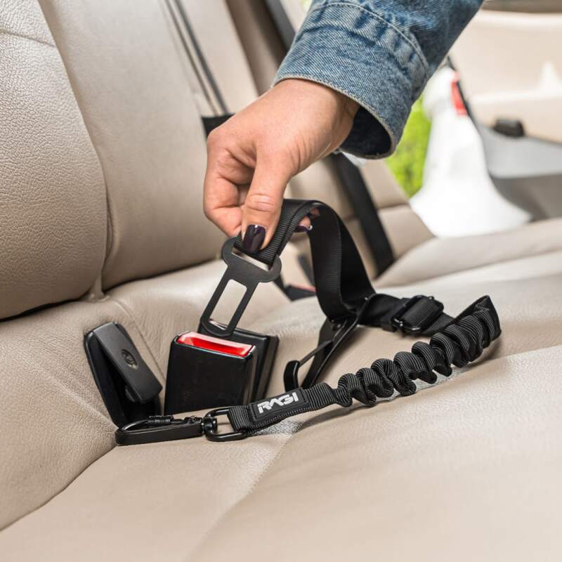 2-in-1 Dog Seat Belt with Bungee & ISOFIX - Image 6