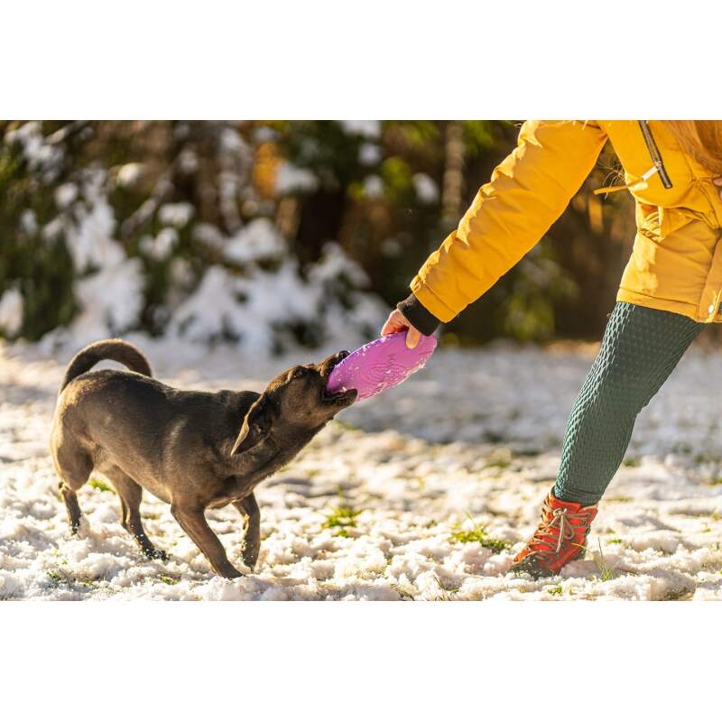 Rubber Dog Frisbee for Fetch and Play - Image 8