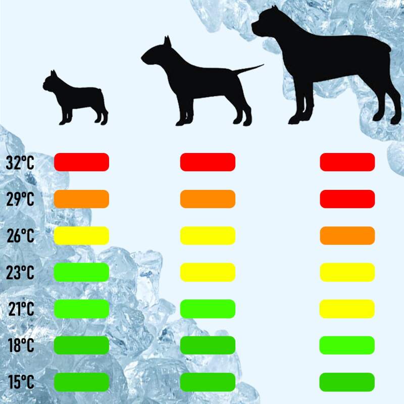XXL Gel Cooling Mat for Dogs and Cats - Image 6