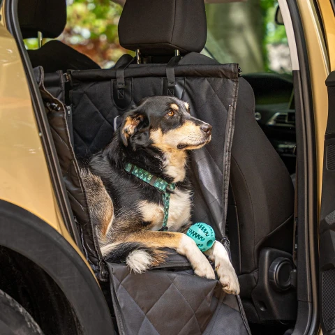 Alternative view of Black Dog Car Seat for Small and Medium Dogs