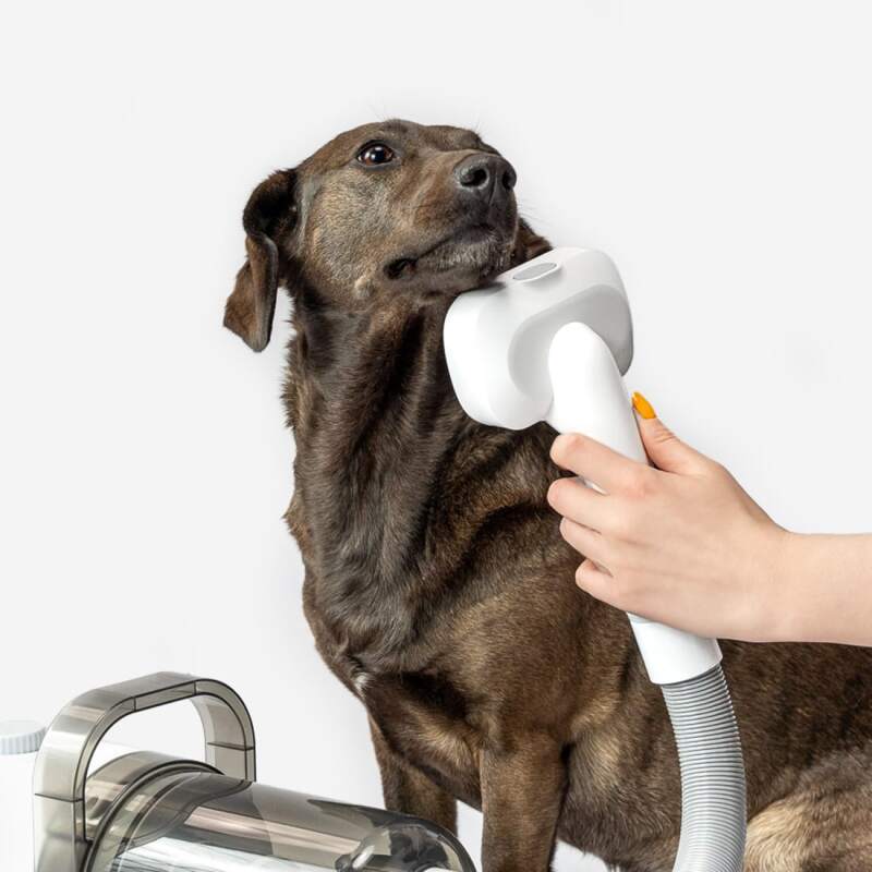 Dog Grooming Vacuum Kit with Clipper and Brushes - Image 11