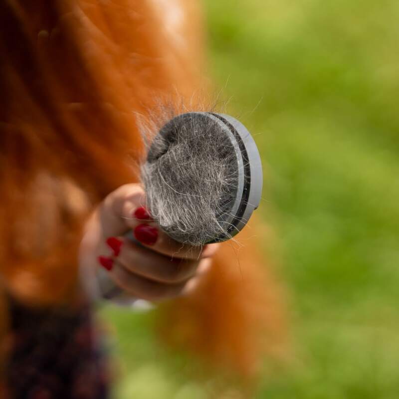 Self-Cleaning Slicker Brush for Dogs & Cats - Image 9