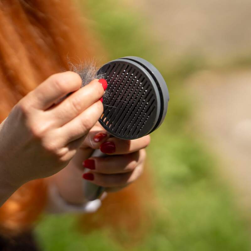 Self-Cleaning Slicker Brush for Dogs & Cats - Image 10