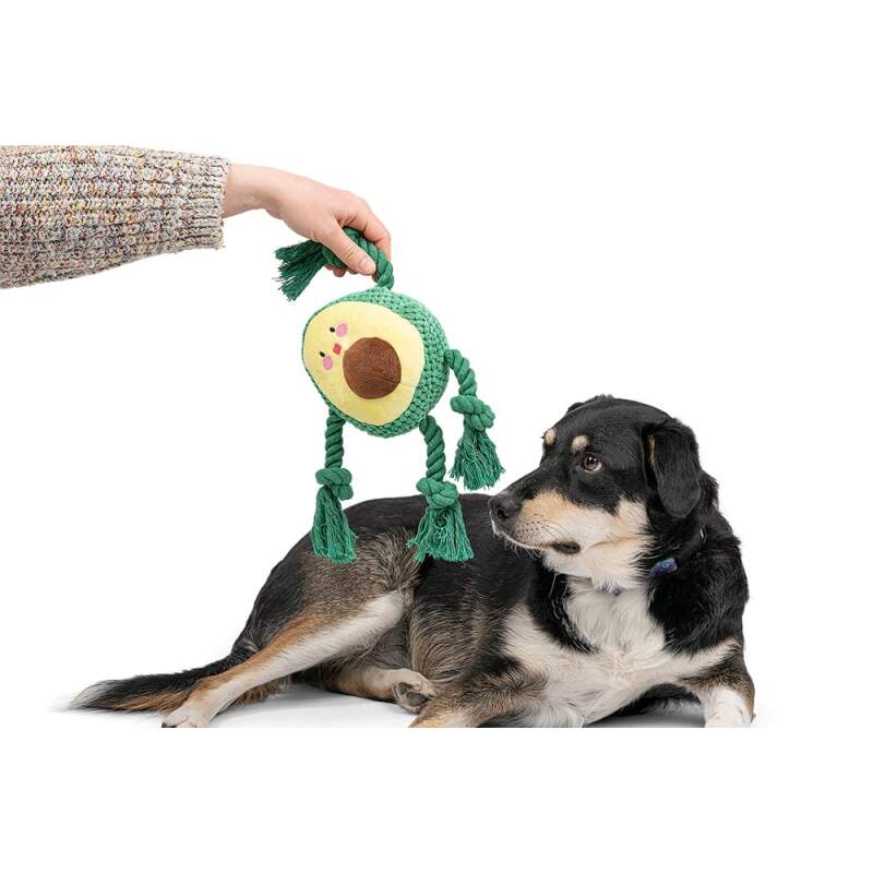 RAGI Plush Avocado Squeaky Dog Toy - Image 6