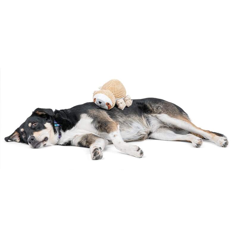 Cotton Sloth Plush Squeaky Dog Toy - Image 5