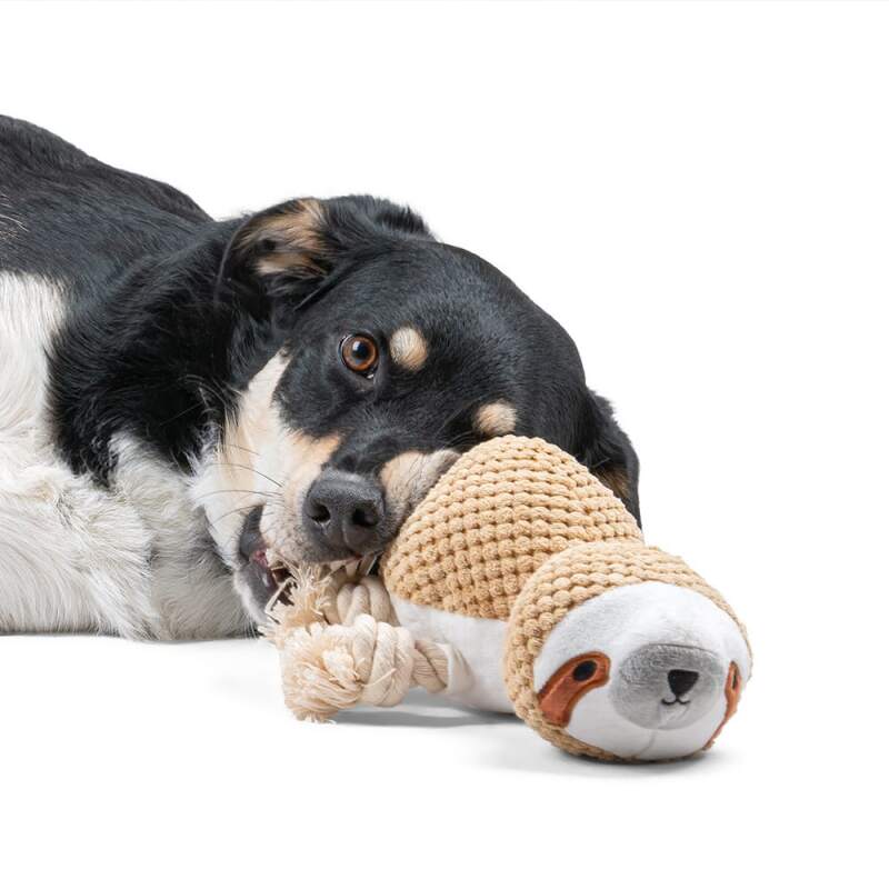 Cotton Sloth Plush Squeaky Dog Toy - Image 4