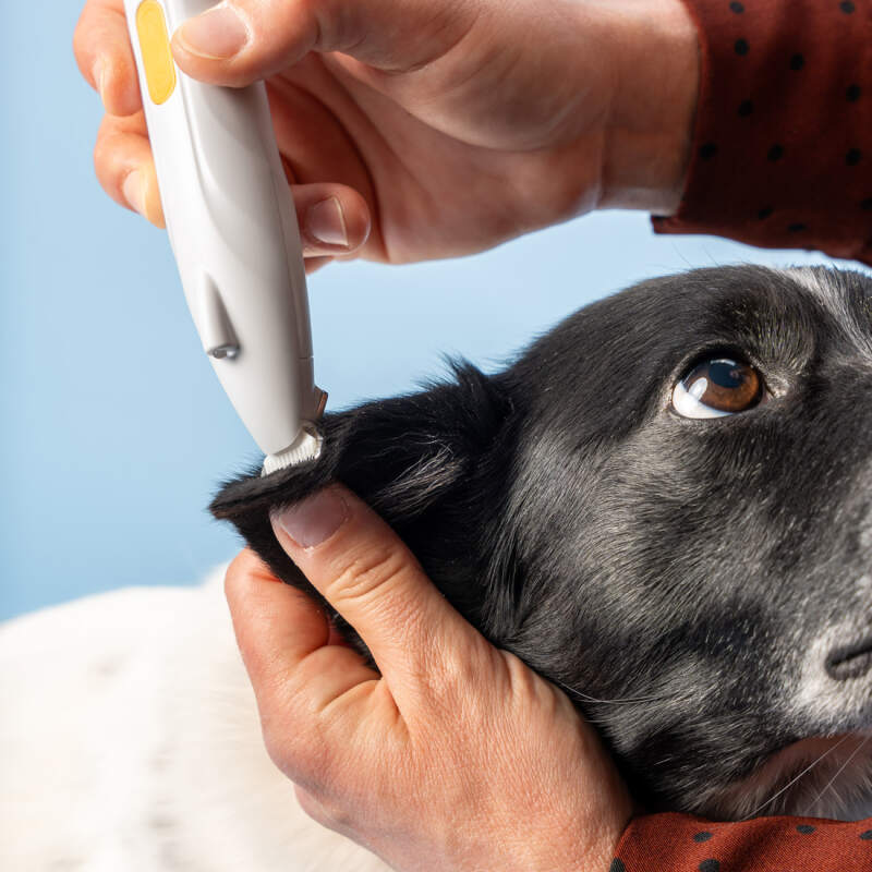 Cordless Dog Paw Trimmer with LED Light - Image 8
