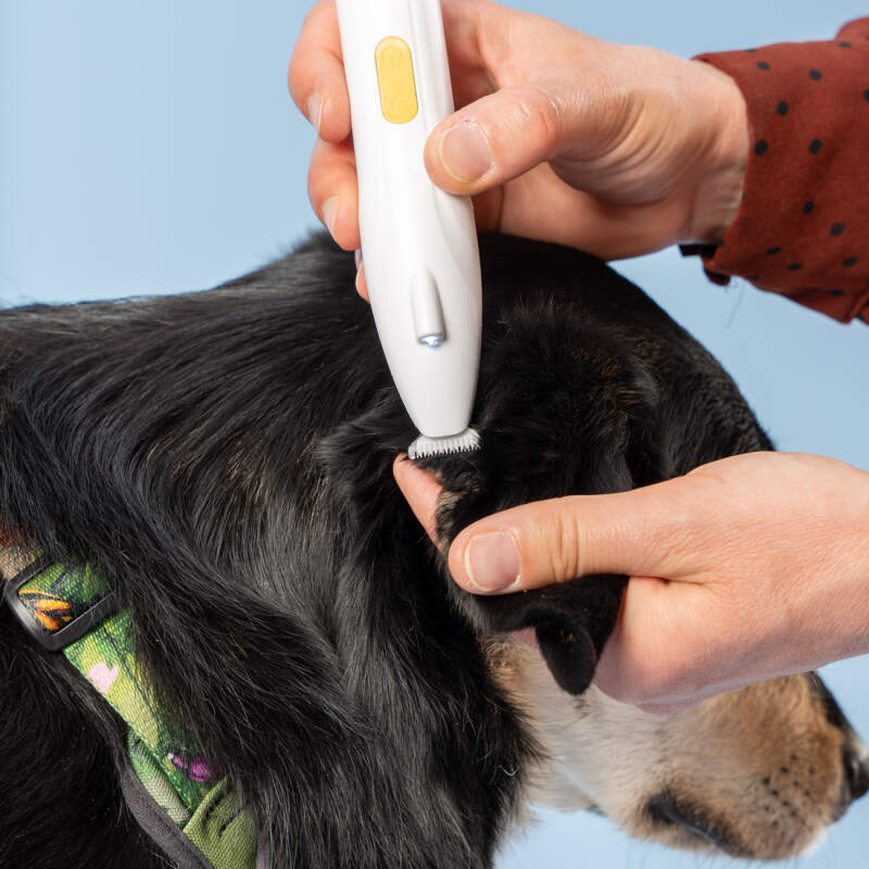 Cordless Dog Paw Trimmer with LED Light - Image 9