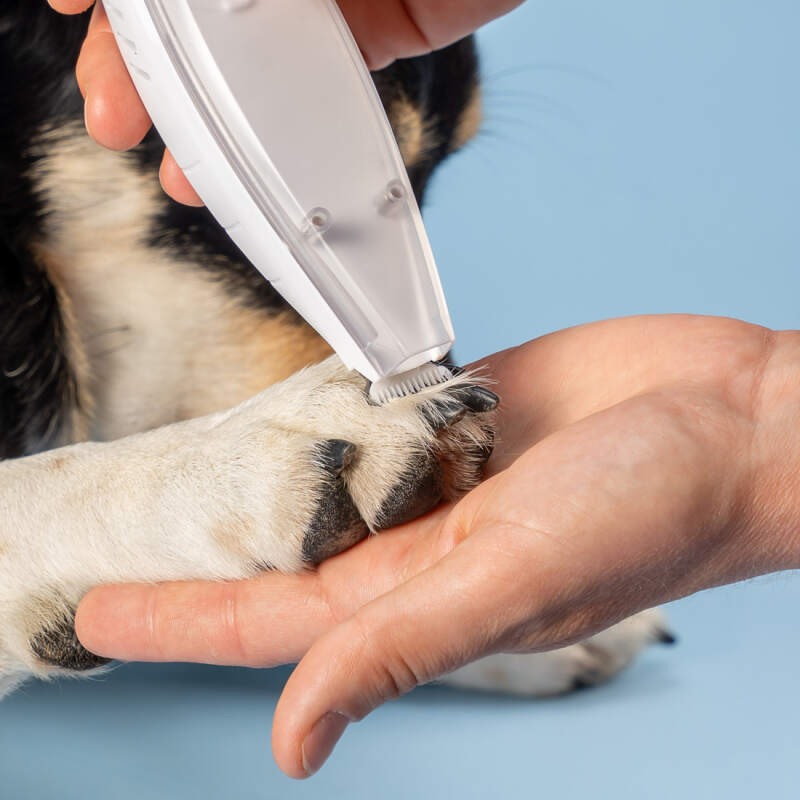 Cordless Dog Paw Trimmer with Built-in Vacuum - Image 8