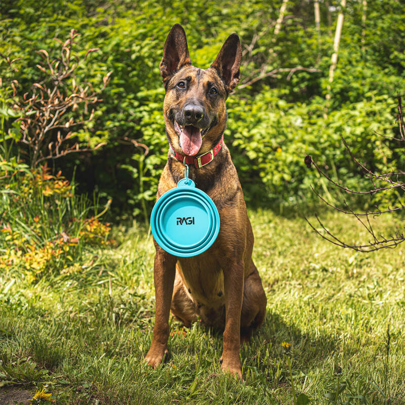 Collapsible Silicone Dog Travel Bowl 1L - Image 3