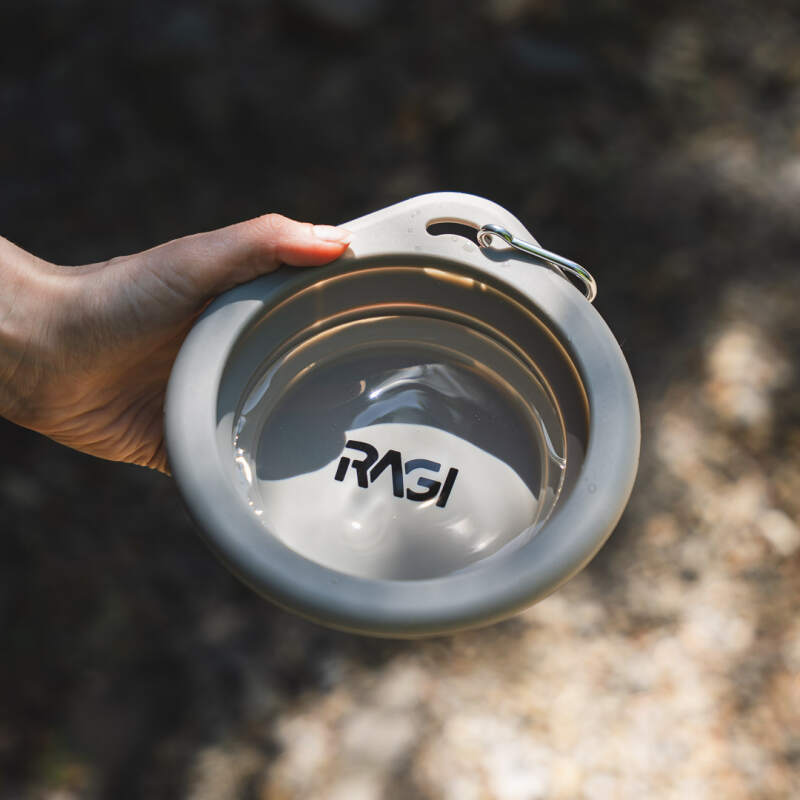 Collapsible Silicone Travel Bowl, 650 ml (Gray) - Image 2
