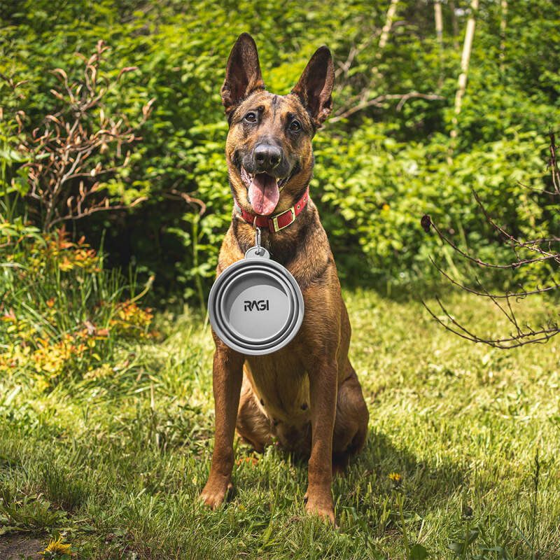 Collapsible Silicone Dog Travel Bowl 1L (Gray) - Image 3