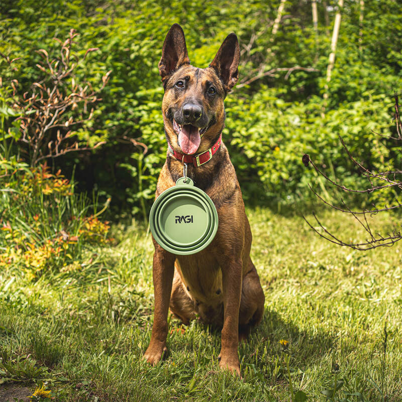 Collapsible Silicone Dog Travel Bowl 1L (Green) - Image 3