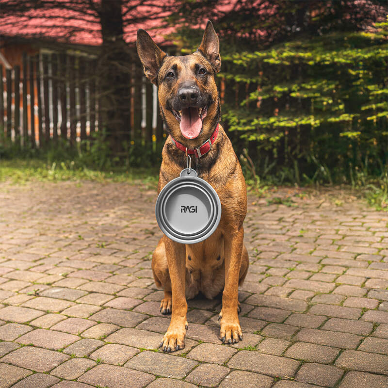 Collapsible Silicone Dog Travel Bowl 1L (Gray) - Image 5