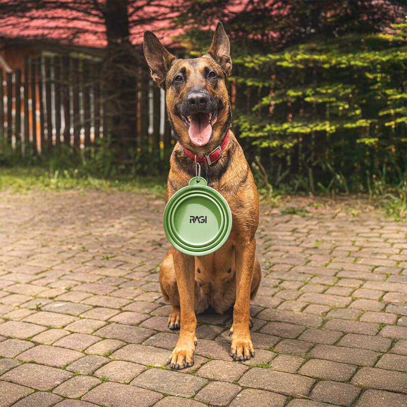Collapsible Silicone Dog Travel Bowl 1L (Green) - Image 5