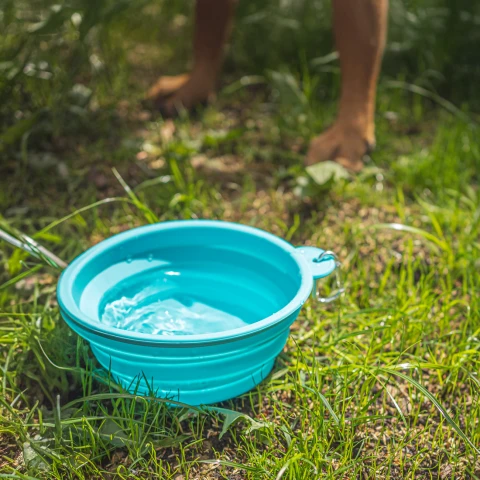 Alternative view of Collapsible Silicone Dog Travel Bowl 1L