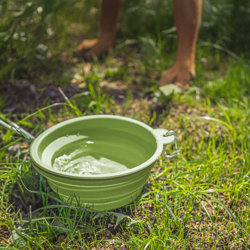 Collapsible Silicone Dog Travel Bowl 1L (Green) - Image 2
