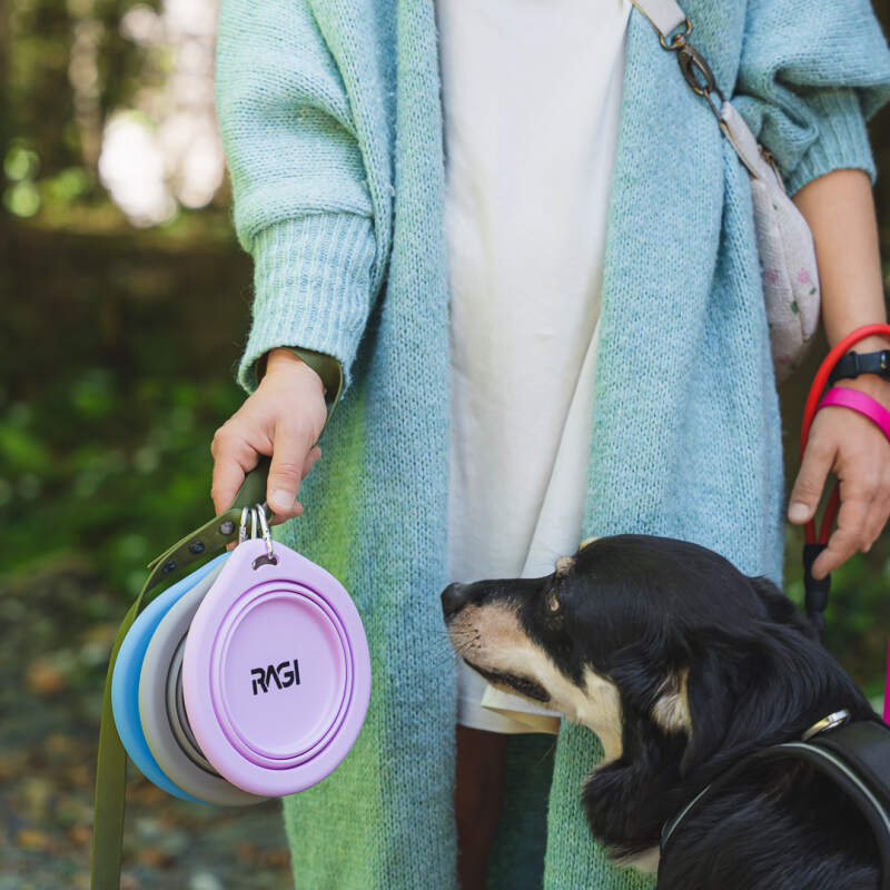 Collapsible Silicone Travel Bowl, 650 ml (Gray) - Image 9