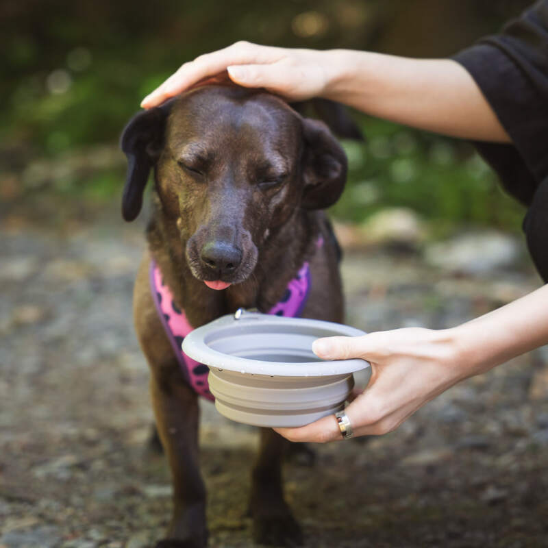 Collapsible Silicone Travel Bowl, 650 ml (Gray) - Image 10