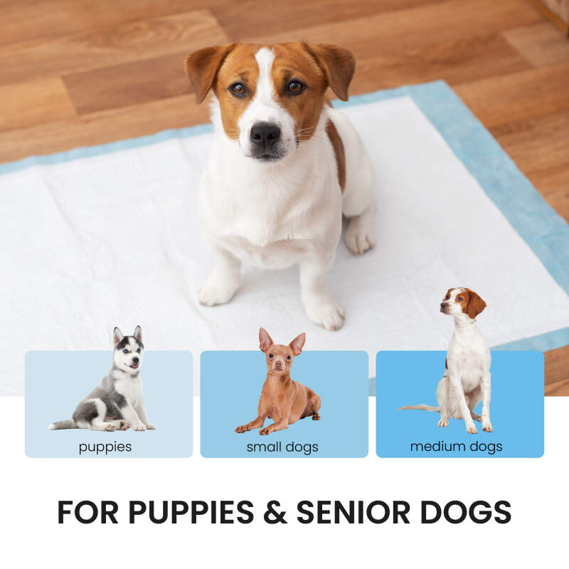 Absorbent Puppy Training Pads 60x60 cm (50 Pack) - Image 4