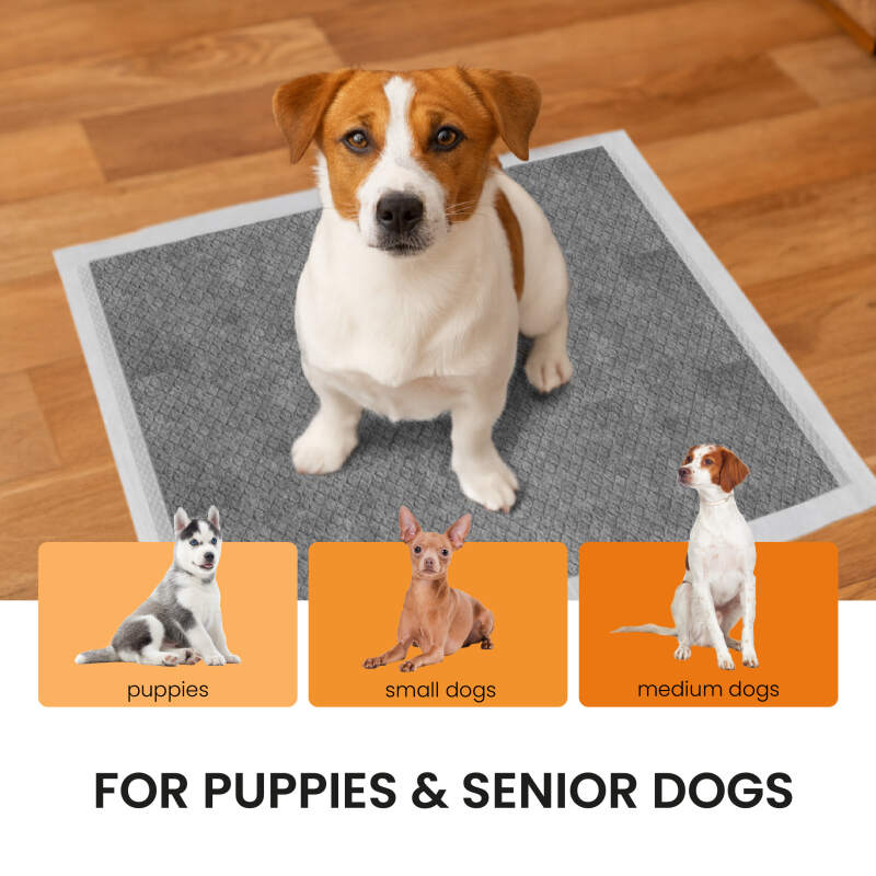 Charcoal Puppy Training Pads 60x60 cm (50 Pack) - Image 3