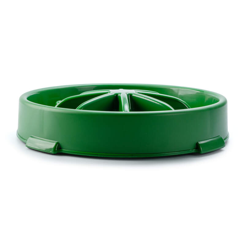 Large Slow Feeder Dog Bowl with Maze, 28 cm / 1.2 L - Image 4