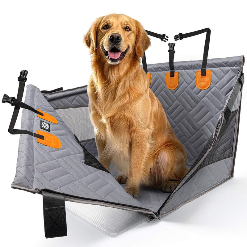 Stabilized 2-in-1 Dog Car Seat and Travel Carrier