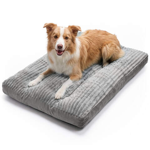 Orthopedic Dog Bed 100x75 cm