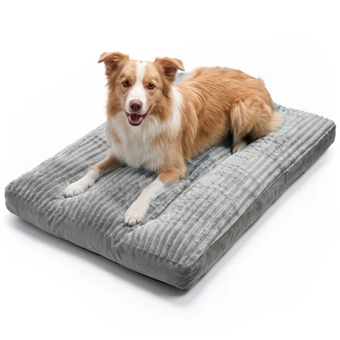 Orthopedic Dog Bed 100x75 cm