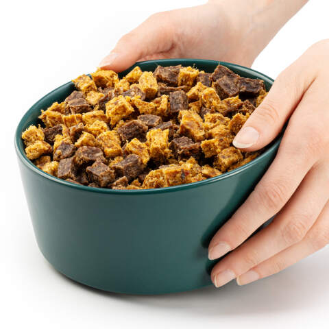 Large Ceramic Dog Bowl 850 ml in Green