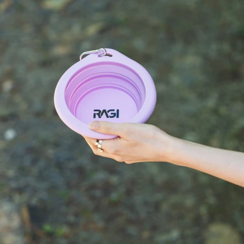 Alternative view of Collapsible Silicone Travel Bowl 650 ml
