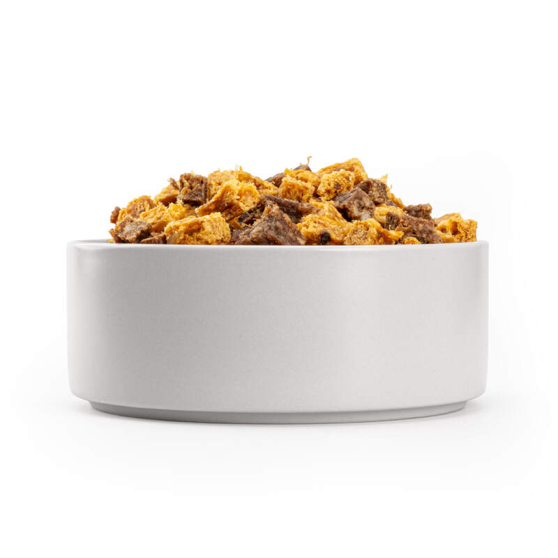 Small Ceramic Dog Bowl 400 ml in Gray - Image 4