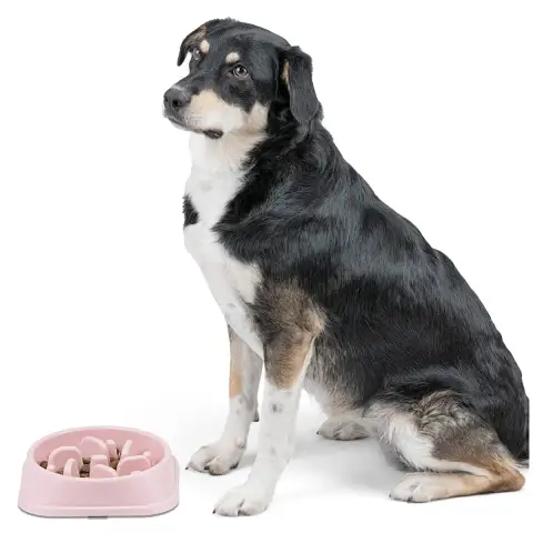 Alternative view of Anti-Schling-Napf für Hund & Katze (500ml)