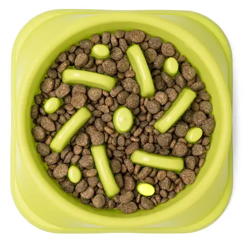 Anti-Schling-Napf für Hunde und Katzen (500 ml)