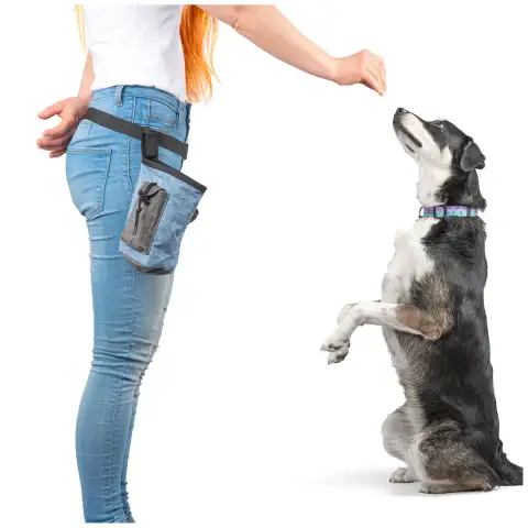 Alternative view of Blauer Futterbeutel für das Hundetraining