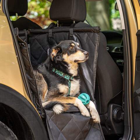 Alternative view of Hunde-Autositz Schwarz für Hund und Katze