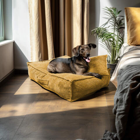 Alternative view of XL Hundebett aus Cord in Senfgelb