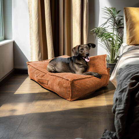 Alternative view of XL Hundebett aus Cord in Rostrot