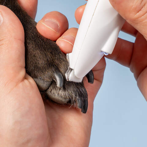 Alternative view of Kabelloser Pfotenschneider für Hund und Katze mit LED