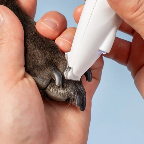 Alternative view of Kabelloser Pfotenschneider für Hund und Katze mit LED